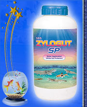 sanitizers-for-ponds
