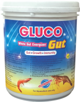 gluco-gut